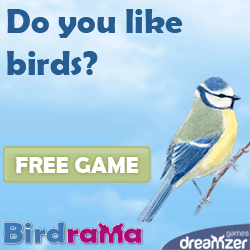 Birdrama: free online game, take care of a bird