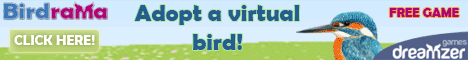 Birdrama: free online game, take care of a bird