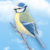 charcoal_stitch - Birdrama bird breeder 